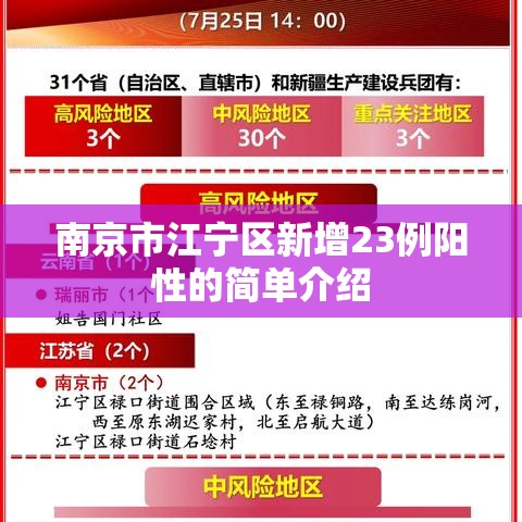 南京市江宁区新增23例阳性的简单介绍