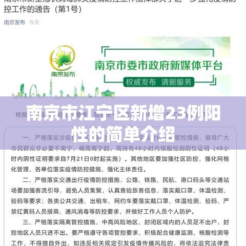 南京市江宁区新增23例阳性的简单介绍