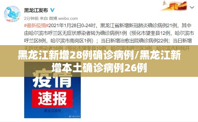黑龙江新增28例确诊病例/黑龙江新增本土确诊病例26例