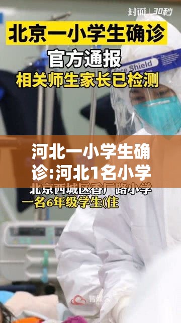 河北一小学生确诊:河北1名小学生确诊