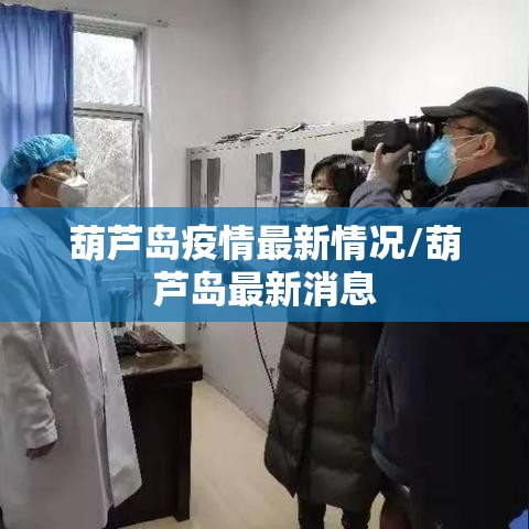 葫芦岛疫情最新情况/葫芦岛最新消息