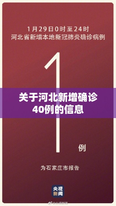 关于河北新增确诊40例的信息