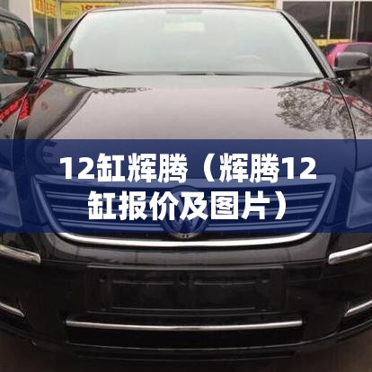 12缸辉腾（辉腾12缸报价及图片）