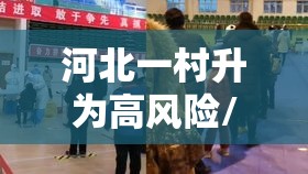 河北一村升为高风险/河北一地调整为高风险