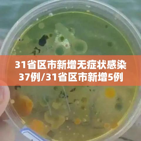 31省区市新增无症状感染37例/31省区市新增5例无症状感染者