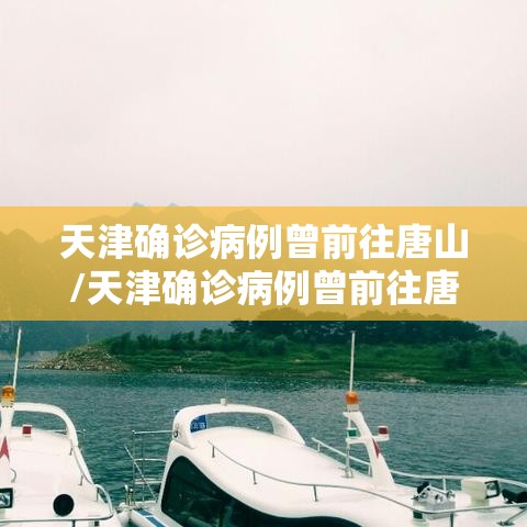 天津确诊病例曾前往唐山/天津确诊病例曾前往唐山行动轨迹