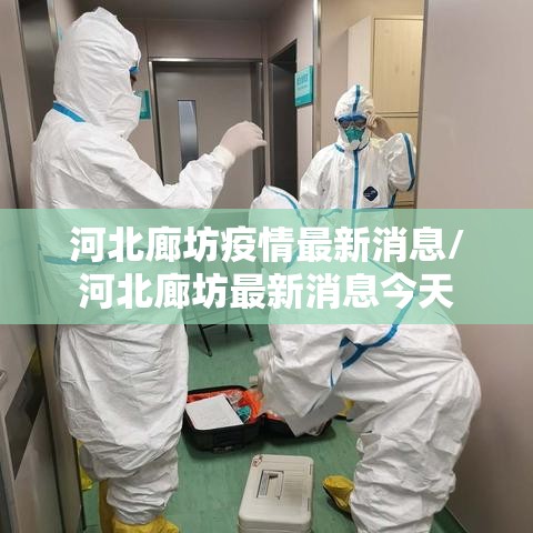 河北廊坊疫情最新消息/河北廊坊最新消息今天