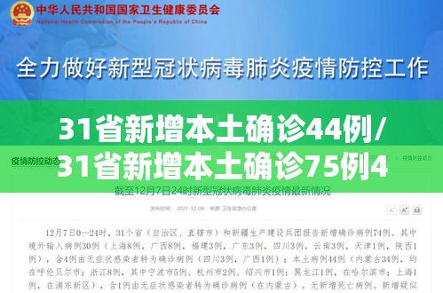 31省新增本土确诊44例/31省新增本土确诊75例42