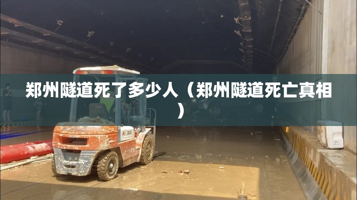 郑州隧道死了多少人（郑州隧道死亡真相）