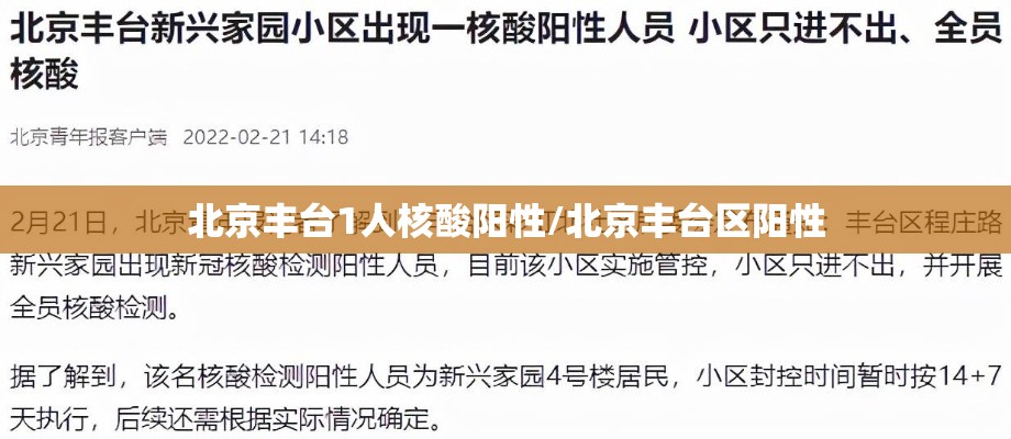 北京丰台1人核酸阳性/北京丰台区阳性