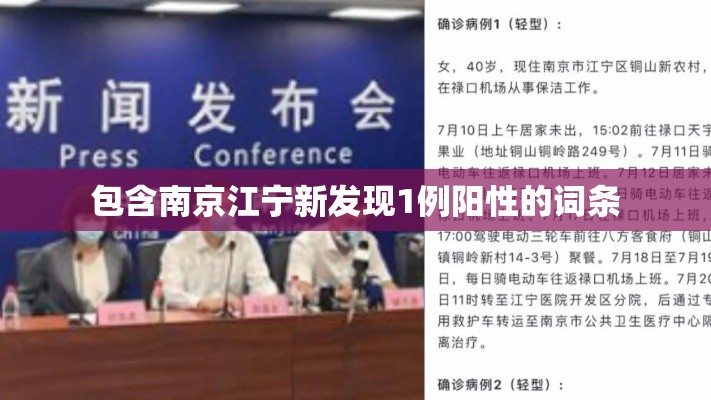 包含南京江宁新发现1例阳性的词条