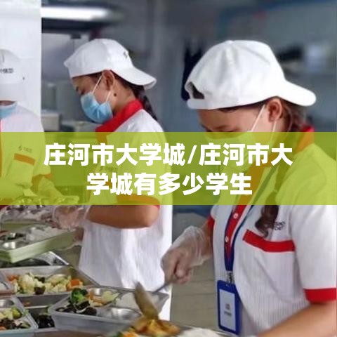庄河市大学城/庄河市大学城有多少学生