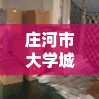 庄河市大学城/庄河市大学城有多少学生
