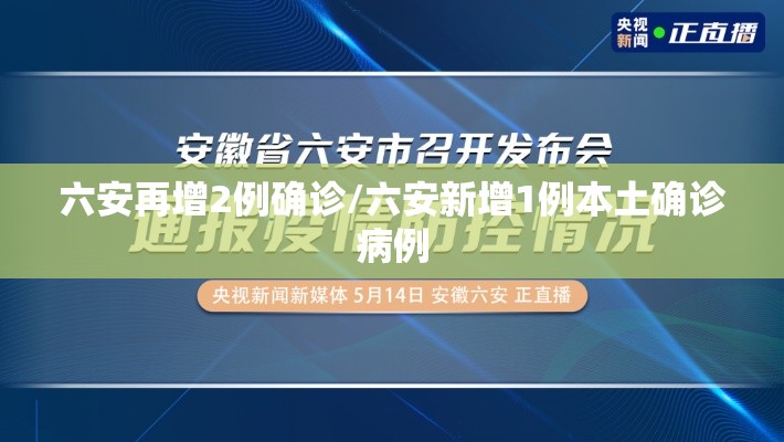 六安再增2例确诊/六安新增1例本土确诊病例