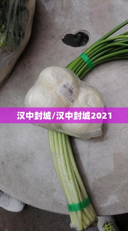 汉中封城/汉中封城2021