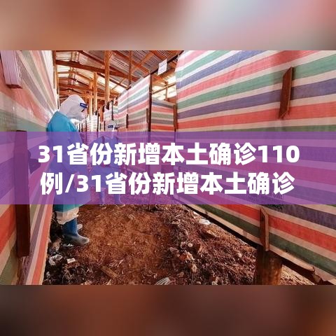 31省份新增本土确诊110例/31省份新增本土确诊110例 河南87例