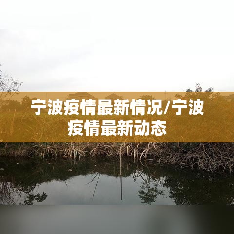 宁波疫情最新情况/宁波疫情最新动态
