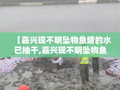 【嘉兴现不明坠物鱼塘的水已抽干,嘉兴现不明坠物鱼塘的水已抽干 仍在打捞 勘探队已进场】