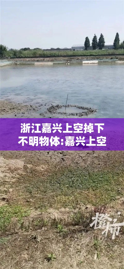 浙江嘉兴上空掉下不明物体:嘉兴上空掉下“不明物体”