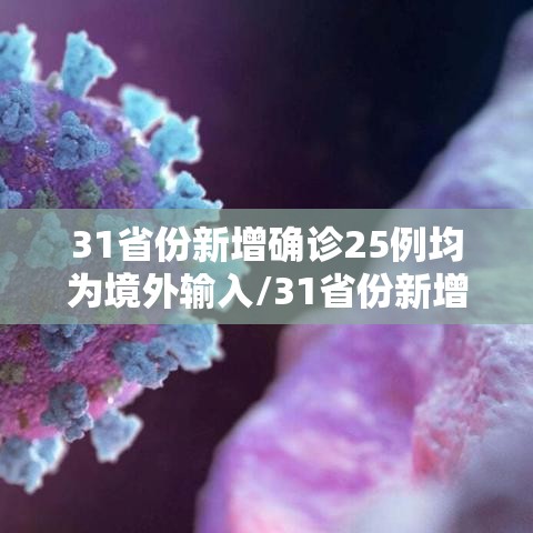 31省份新增确诊25例均为境外输入/31省份新增16例确诊 均为境外输入