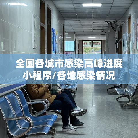 全国各城市感染高峰进度小程序/各地感染情况
