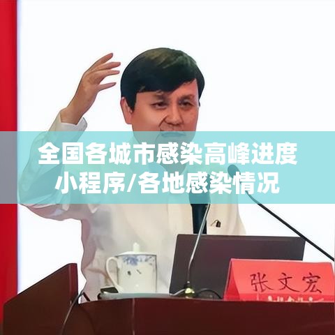 全国各城市感染高峰进度小程序/各地感染情况