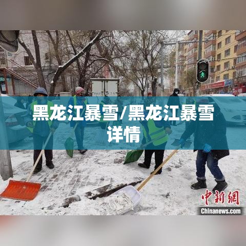黑龙江暴雪/黑龙江暴雪详情 黑龙江暴雪/黑龙江暴雪详情
