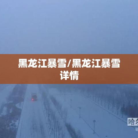 黑龙江暴雪/黑龙江暴雪详情 黑龙江暴雪/黑龙江暴雪详情