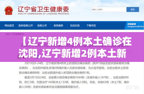 【辽宁新增4例本土确诊在沈阳,辽宁新增2例本土新冠肺炎确诊病例,均为沈阳市报告】