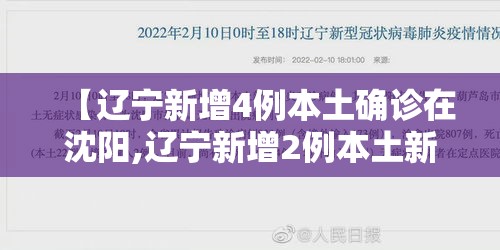 【辽宁新增4例本土确诊在沈阳,辽宁新增2例本土新冠肺炎确诊病例,均为沈阳市报告】