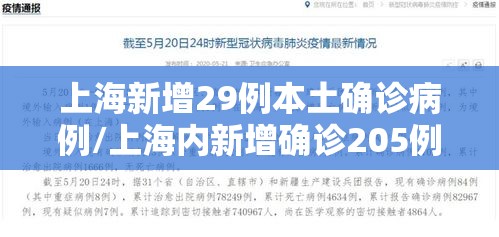 上海新增29例本土确诊病例/上海内新增确诊205例
