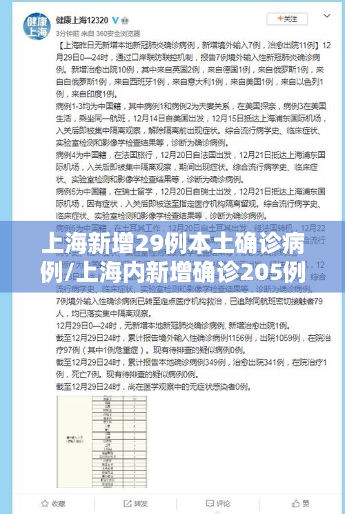 上海新增29例本土确诊病例/上海内新增确诊205例