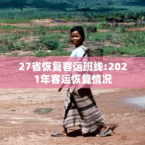 27省恢复客运班线:2021年客运恢复情况
