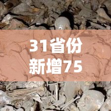 31省份新增75例本土涉河北等5省份/31省新增本土52例 河北51例 31省份新增75例本土涉河北等5省份/31省新增本土52例 河北51例