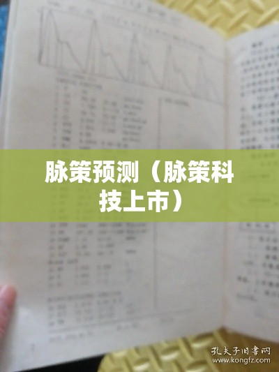 脉策预测（脉策科技上市）