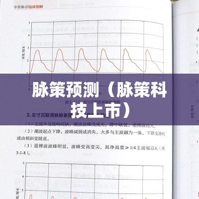 脉策预测（脉策科技上市）