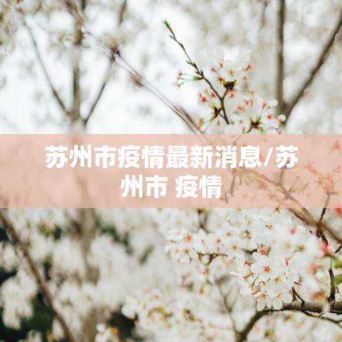 苏州市疫情最新消息/苏州市 疫情