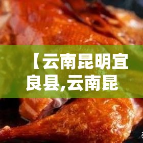 【云南昆明宜良县,云南昆明宜良县森林火灾事件】
