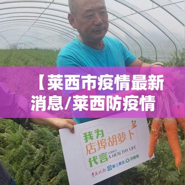 【莱西市疫情最新消息/莱西防疫情况】