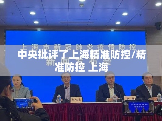 中央批评了上海精准防控/精准防控 上海