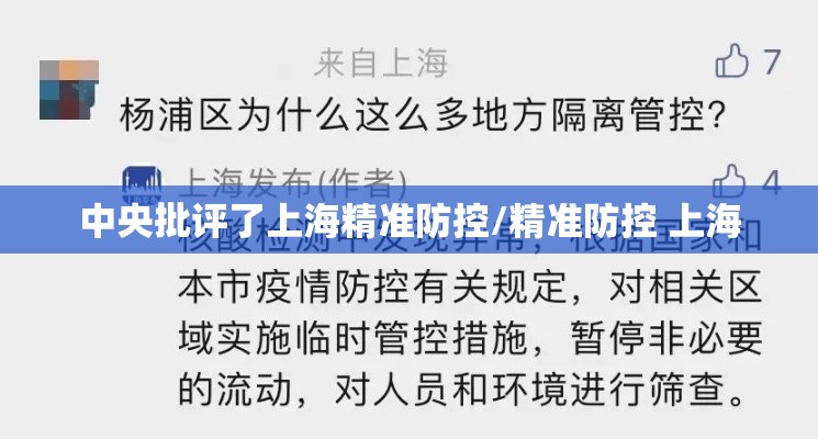 中央批评了上海精准防控/精准防控 上海