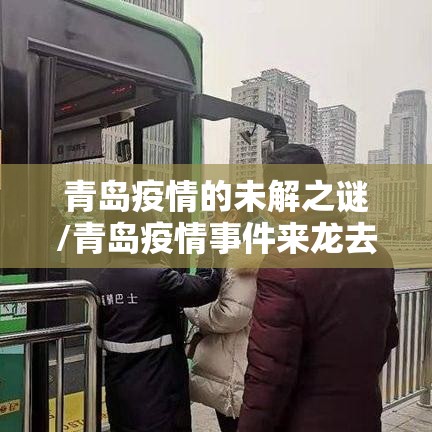 青岛疫情的未解之谜/青岛疫情事件来龙去脉