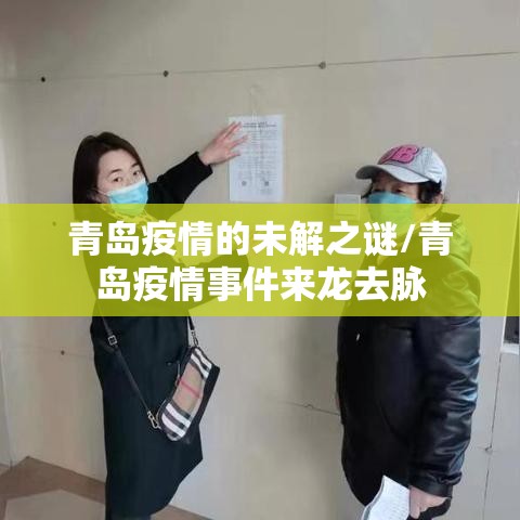 青岛疫情的未解之谜/青岛疫情事件来龙去脉