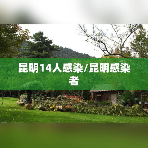 昆明14人感染/昆明感染者