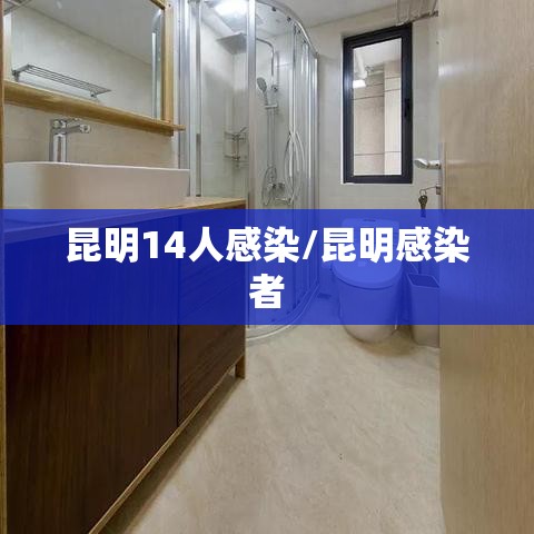 昆明14人感染/昆明感染者