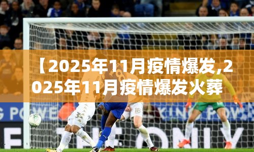 【2025年11月疫情爆发,2025年11月疫情爆发火葬场人多了吗视频】