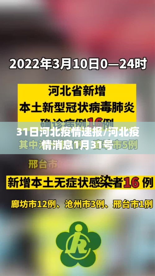 31日河北疫情速报/河北疫情消息1月31号
