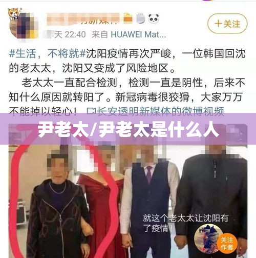尹老太/尹老太是什么人