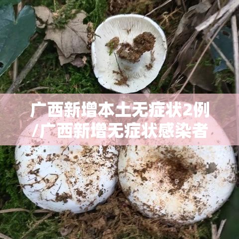 广西新增本土无症状2例/广西新增无症状感染者轨迹 广西新增本土无症状2例/广西新增无症状感染者轨迹