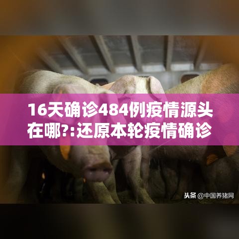 16天确诊484例疫情源头在哪?:还原本轮疫情确诊病例行动轨迹